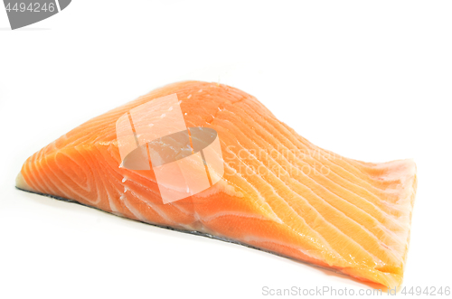 Image of Fresh salmon fillet isolated