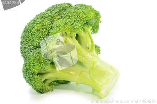 Image of Fresh broccoli isolated