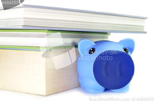 Image of Piggy bank with money and book