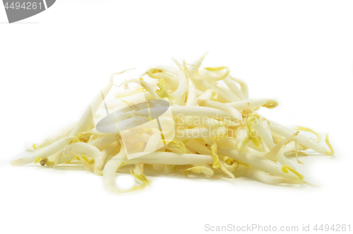 Image of Pile of bean sprouts