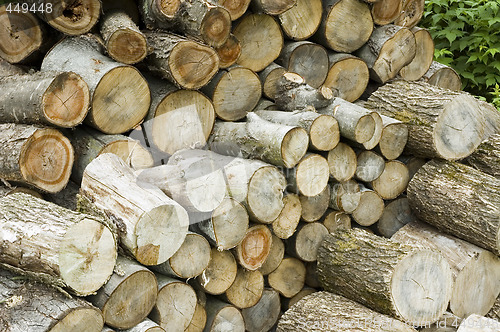 Image of Logs