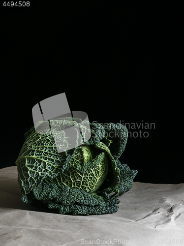 Image of Savoy cabbage head