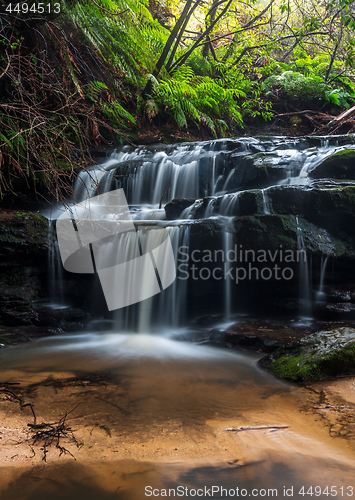 Image of Water cascades over rocks in Leura