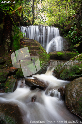 Image of Cascading waterfalls through lush rainforest