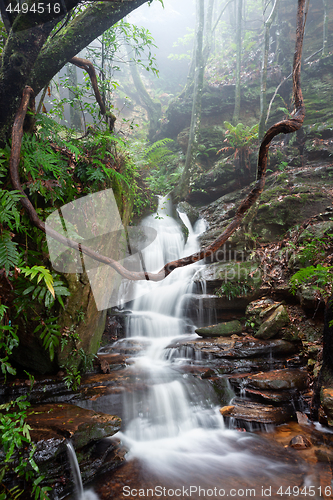 Image of Nature\'s playground are the best  Blue Mountains Australia