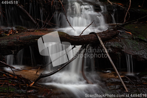 Image of Cascading water down Den Fenella in Blue Mountains
