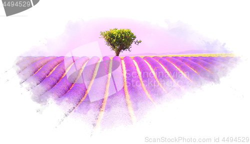 Image of Lavender field watercolor effect illustration