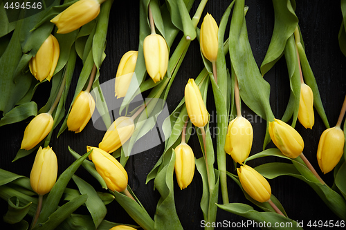 Image of Beautiful yellow tulips on black rustic wooden background. Top view