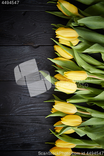 Image of Beautiful yellow tulips on black rustic wooden background. Top view