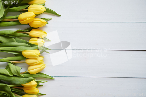 Image of Row of fresh Yellow tulips on white wooden table