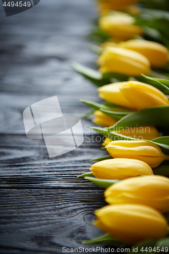 Image of Composition of fresh yellow tulips placed in row on black rustic wooden table