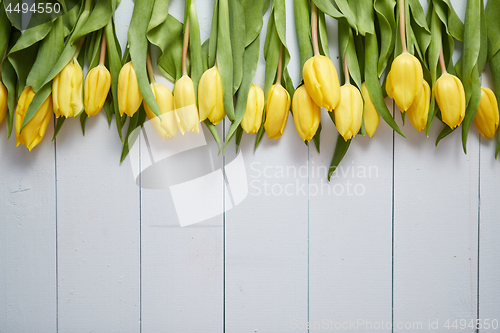 Image of Row of fresh Yellow tulips on white wooden table