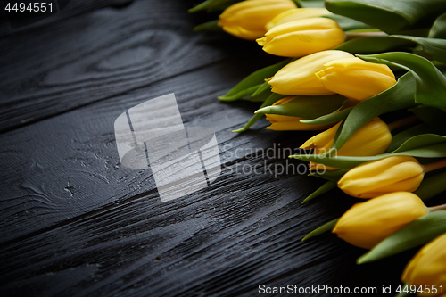 Image of Composition of fresh yellow tulips placed in row on black rustic wooden table