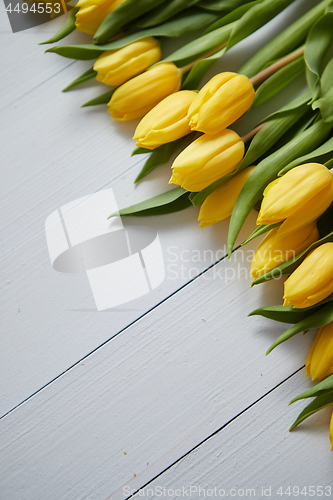 Image of Row of fresh Yellow tulips on white wooden table
