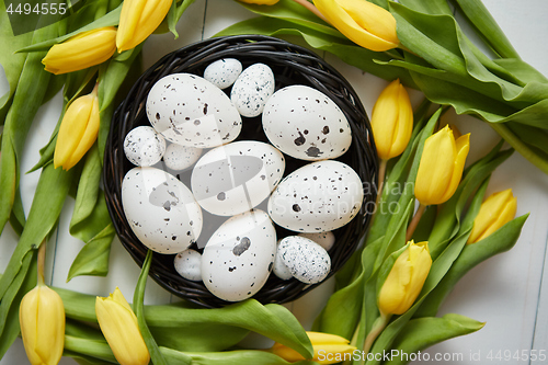 Image of Beautiful yellow tulips with dotted quail and chicken eggs in nest on white