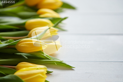 Image of Composition of fresh tulips placed in row on white rustic wooden table