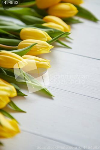 Image of Composition of fresh tulips placed in row on white rustic wooden table