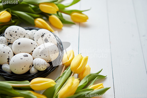 Image of Beautiful yellow tulips with dotted quail and chicken eggs in nest on white