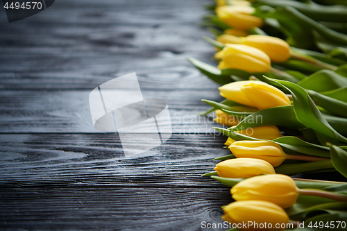 Image of Composition of fresh yellow tulips placed in row on black rustic wooden table