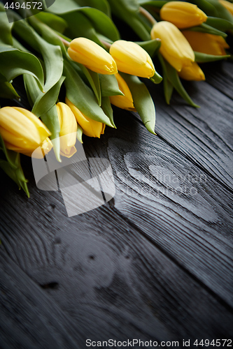 Image of Beautiful yellow tulips on black rustic wooden background. Top view