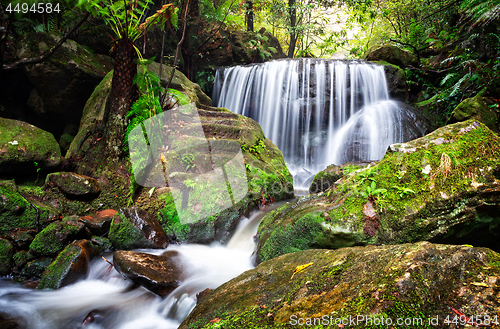 Image of Tranquil lush waterfall in Leura