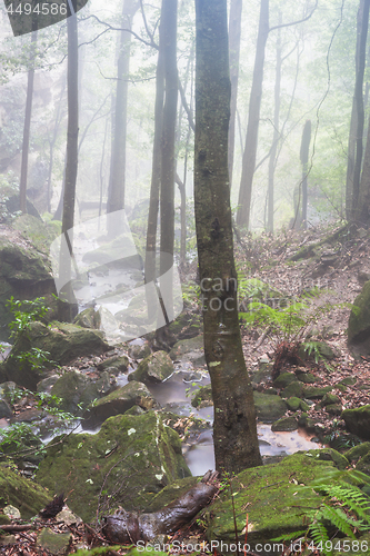 Image of A stream runs through mist filled valley