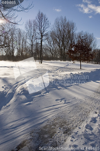 Image of Winter