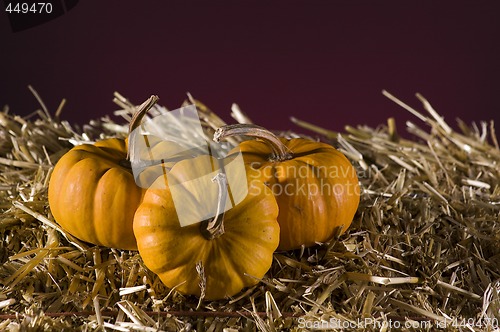 Image of Pumpkins