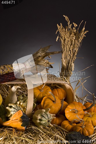 Image of Pumpkins