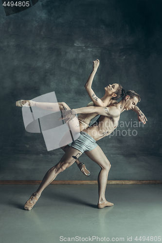 Image of The young modern ballet dancers posing on gray studio background