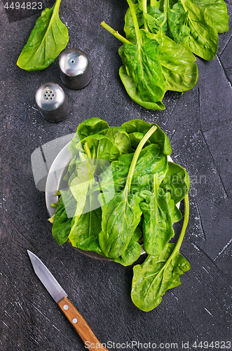 Image of spinach