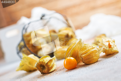 Image of Physalis