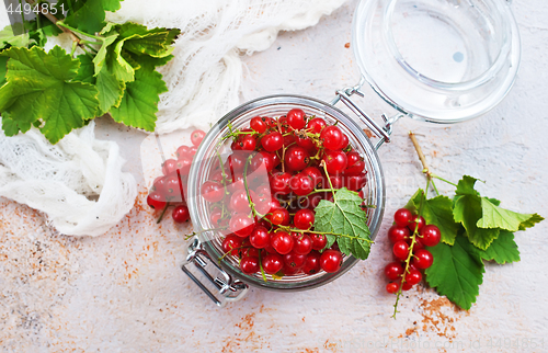 Image of red currant