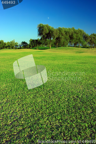 Image of Green landscape