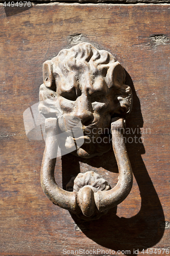 Image of  Lion shaped door knocker.