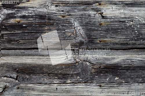 Image of Old wooden grunge door texture