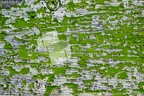 Image of Old wooden green door