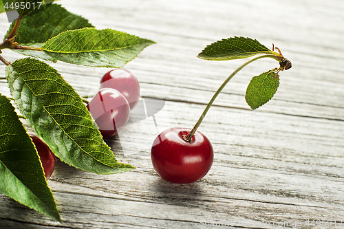 Image of Cherry