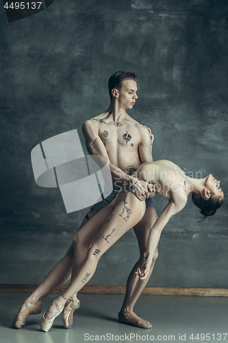 Image of The young modern ballet dancers posing on gray studio background