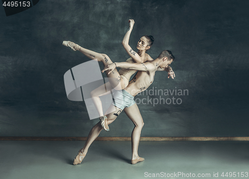 Image of The young modern ballet dancers posing on gray studio background