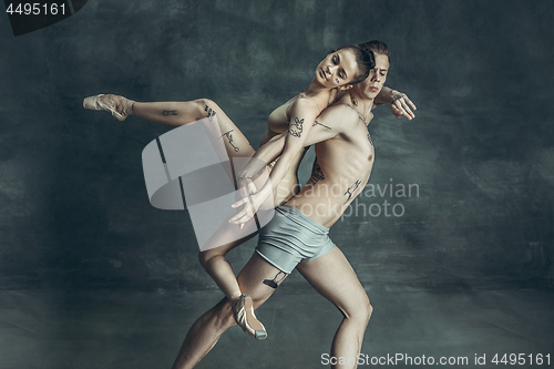 Image of The young modern ballet dancers posing on gray studio background