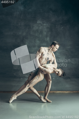 Image of The young modern ballet dancers posing on gray studio background