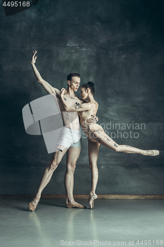 Image of The young modern ballet dancers posing on gray studio background