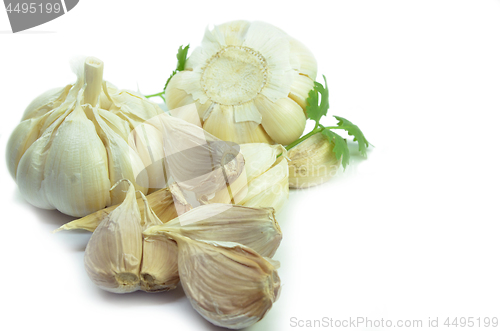 Image of Isolated garlic and clove