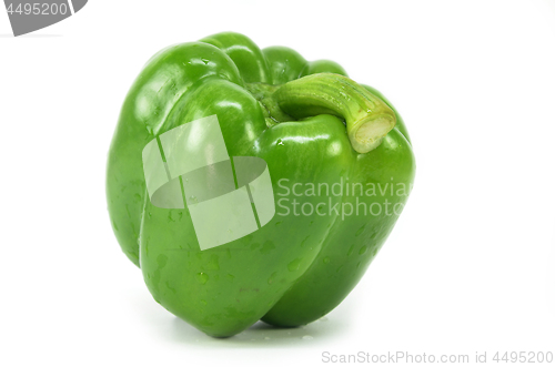 Image of Green bell pepper