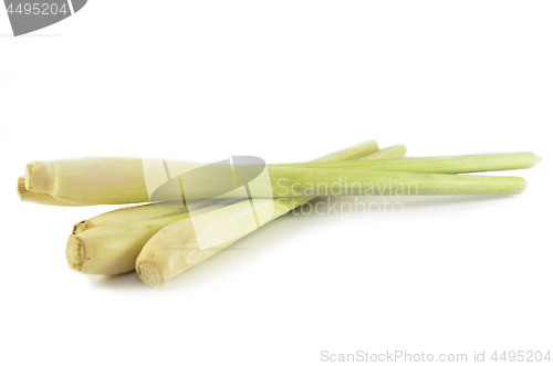 Image of Fresh lemon grass