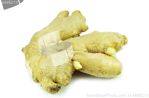 Image of Ground ginger root isolated