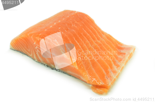 Image of Fresh salmon fillet isolated