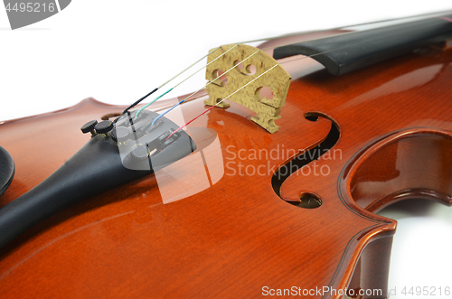 Image of Close up of violin