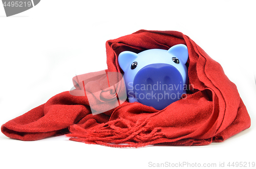 Image of Piggy bank wearing scarf